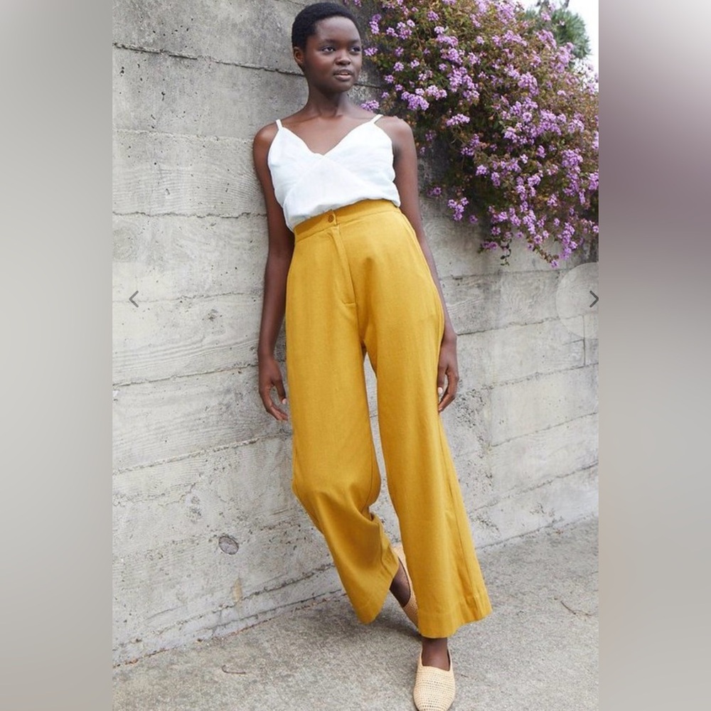 NWOT Ali Golden Raw Silk Top & High Waisted Pants Set